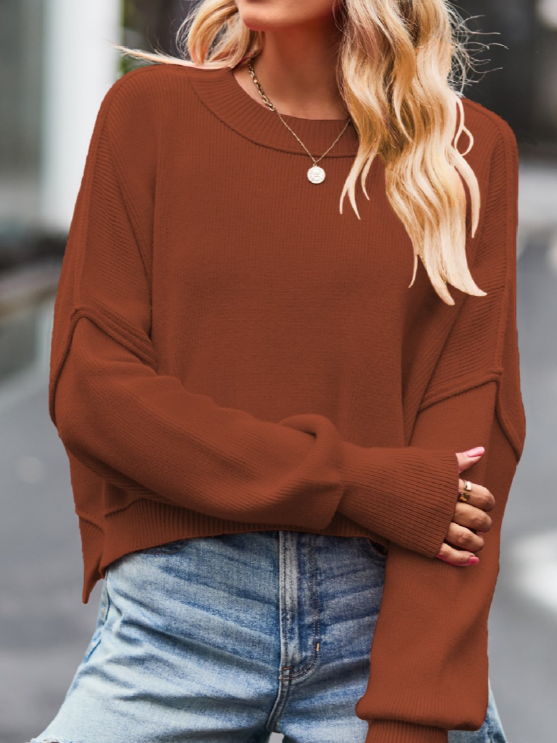 Women Plain Long Sleeve Comfy Casual Sweater