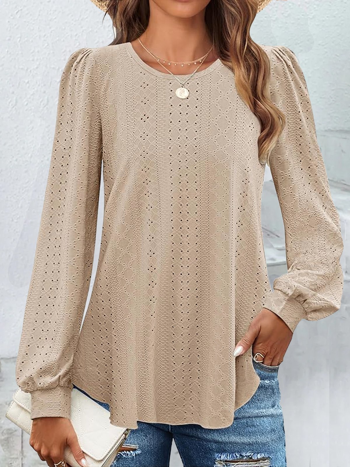 Casual Plain Crew Neck Long Sleeve T-shirt