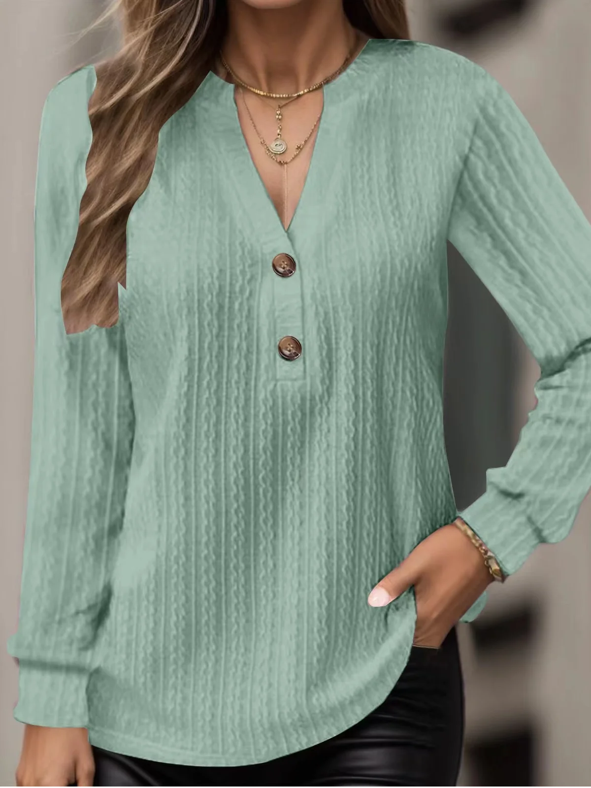 V Neck Long Sleeve Plain Regular Loose Blouse For Women