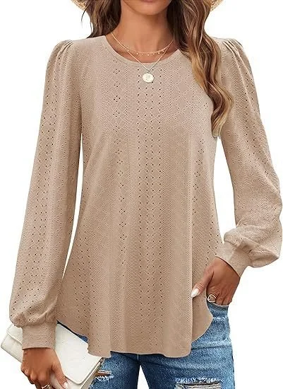 Crew Neck Long Sleeve Plain Regular Micro-Elasticity Loose Blouse For Women