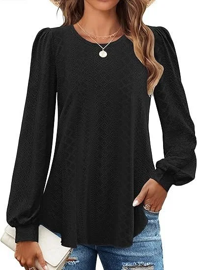 Crew Neck Long Sleeve Plain Regular Micro-Elasticity Loose Blouse For Women