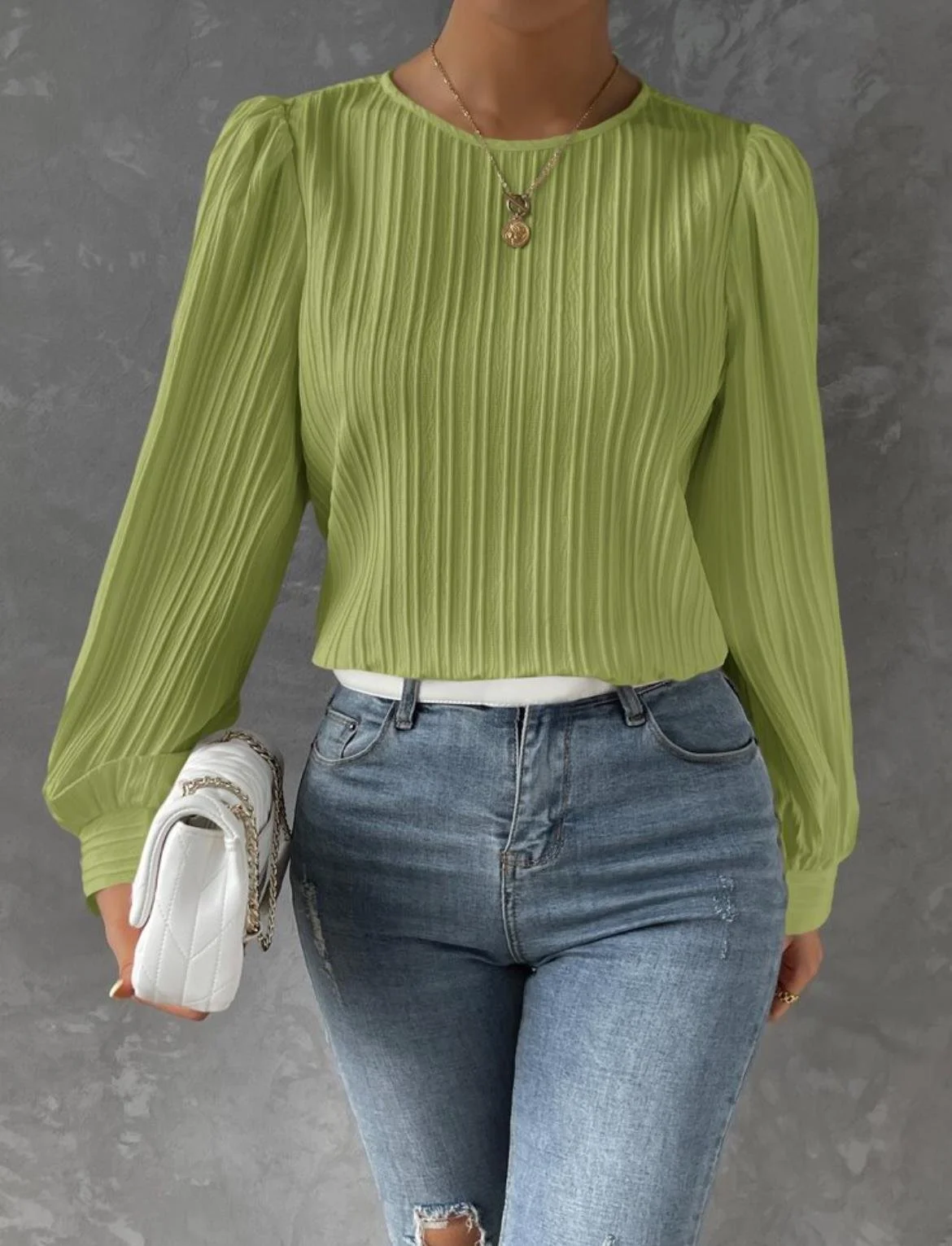 Crew Neck Long Sleeve Plain Regular Micro-Elasticity Loose Blouse For Women