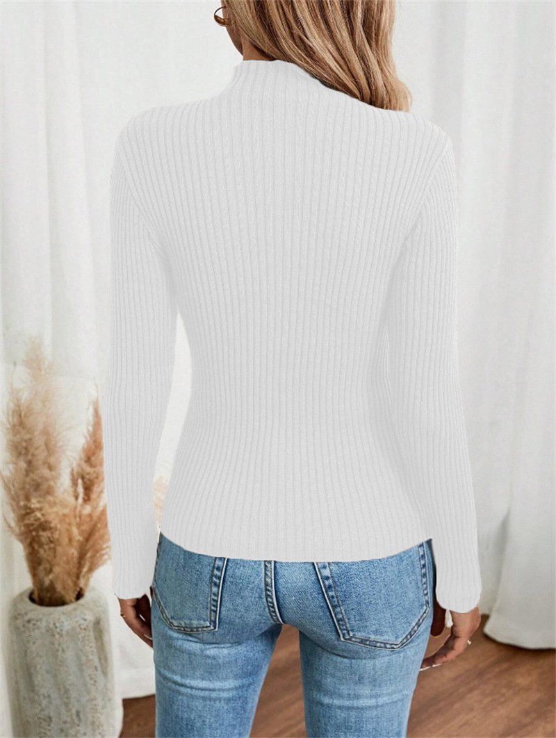 Turtleneck Long Sleeve Plain Regular Micro-Elasticity Loose Blouse For Women