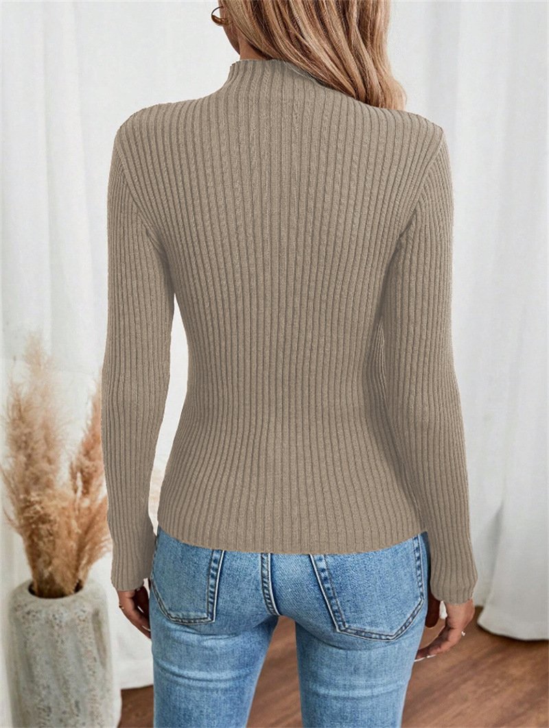 Turtleneck Long Sleeve Plain Regular Micro-Elasticity Loose Blouse For Women