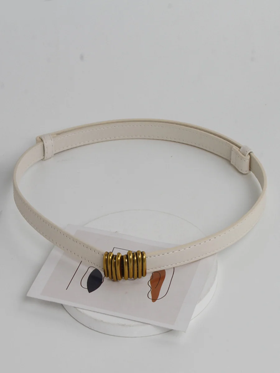Adjustable Waist Belt For Sweater Dress And Down Jacket With Buckle Hooks, Small Decorative Belt