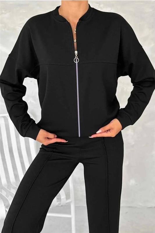 Women Plain Two-Piece Set Daily Long Sleeve Casual Spring/Fall Top With Pants Matching Set