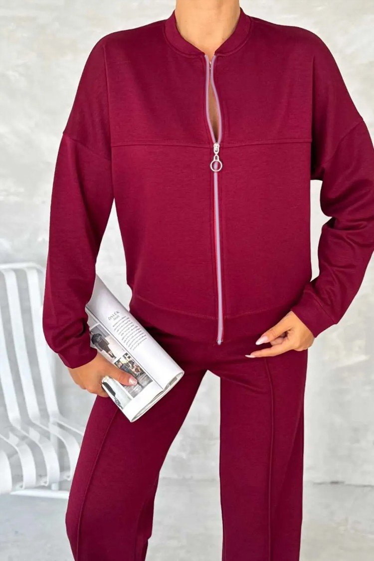 Women Plain Two-Piece Set Daily Long Sleeve Casual Spring/Fall Top With Pants Matching Set