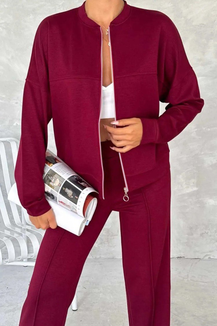 Women Plain Two-Piece Set Daily Long Sleeve Casual Spring/Fall Top With Pants Matching Set