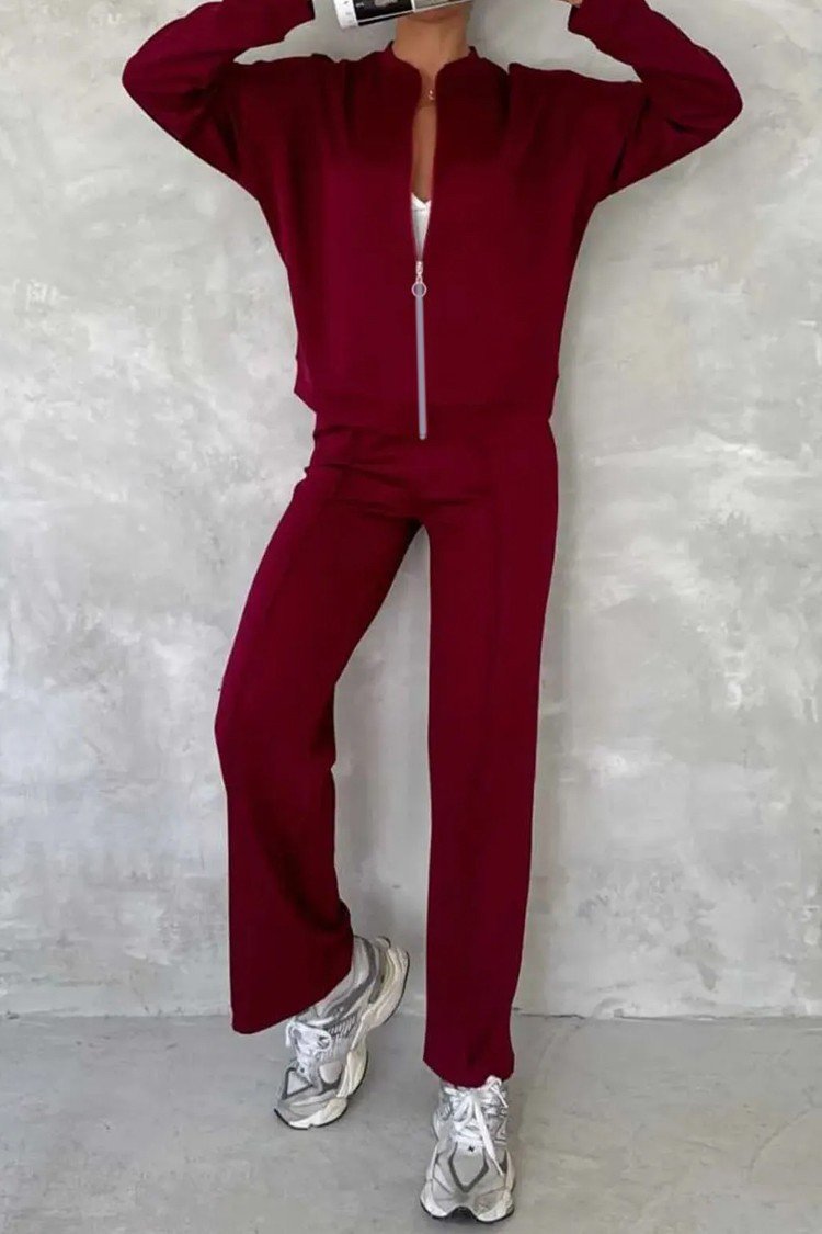 Women Plain Two-Piece Set Daily Long Sleeve Casual Spring/Fall Top With Pants Matching Set