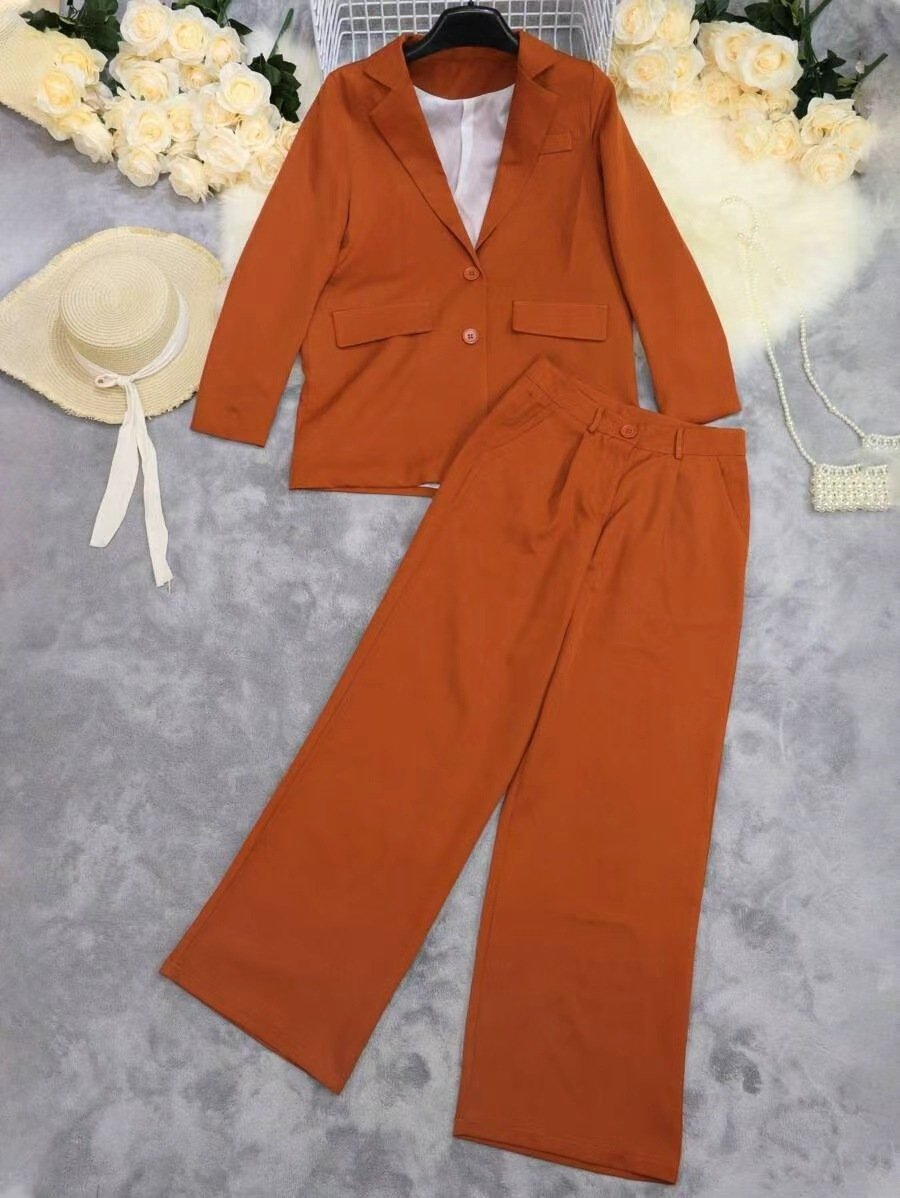 Women Plain Two-Piece Set Daily Long Sleeve Casual Spring/Fall Coat With Pants Matching Set