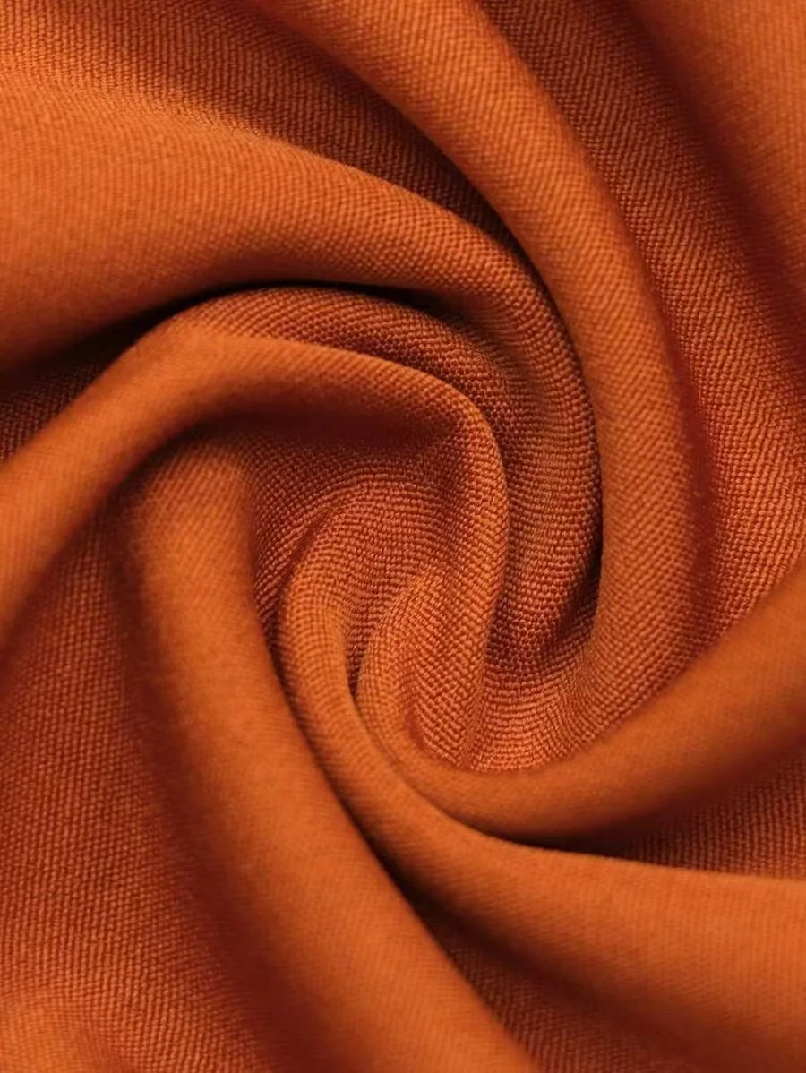 Women Plain Two-Piece Set Daily Long Sleeve Casual Spring/Fall Coat With Pants Matching Set