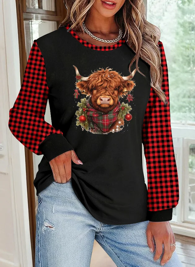 Casual Crew Neck Color Block Sweatshirt