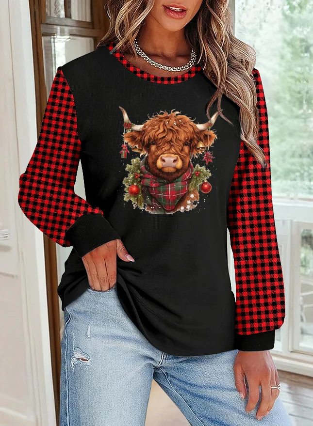 Casual Crew Neck Color Block Sweatshirt