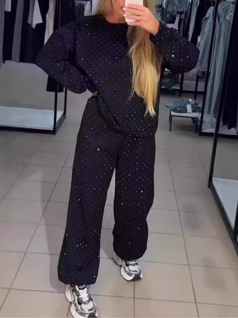 Women Plain Split Joint Two-Piece Set Daily Long Sleeve Casual Spring/Fall Top With Pants Matching Set