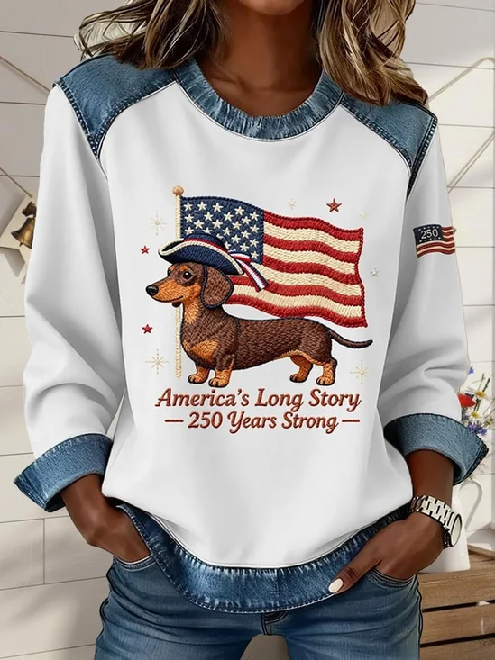 Casual Crew Neck Color Block Sweatshirt