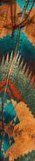 Multicolor Tribal Floral-Print Casual Denim Jacket