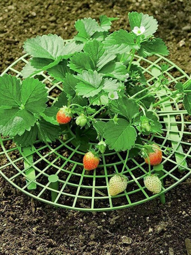 Strawberry stand balcony vegetable stand plant climbing vine pillar