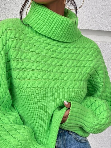 Plain Long Sleeve Casual Turtleneck Sweater