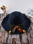 Beach Resort Style Foldable Braided Sunscreen Straw Hat
