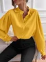 V Neck Long Sleeve Plain Lace Regular Regular Fit Blouse For Women