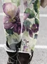 Women Floral Casual All Season Printing Long Leggings