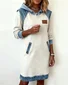 Women Multicolor Block All Season Dress Hoodie Long Sleeve H-Line Dress