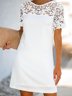 Eyelet Solid Crew Neck Holiday Dresses